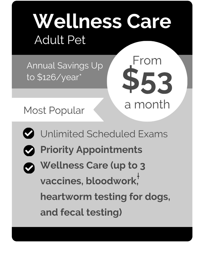 Pawsitive VIPet Plan_pricing_Wellness_Modern